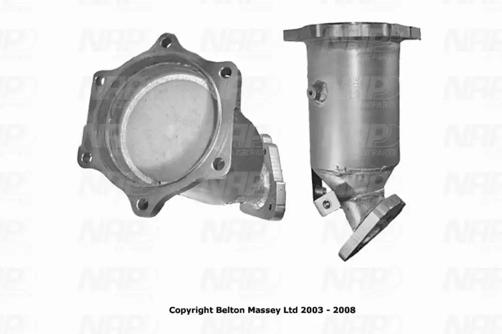 Catalyseur NAP carPARTS GmbH CAK11067