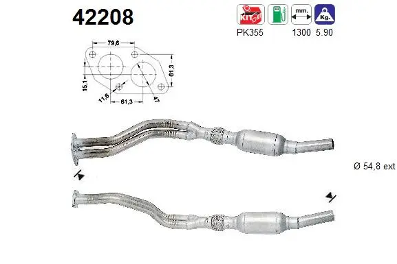 Catalyseur AS 42208