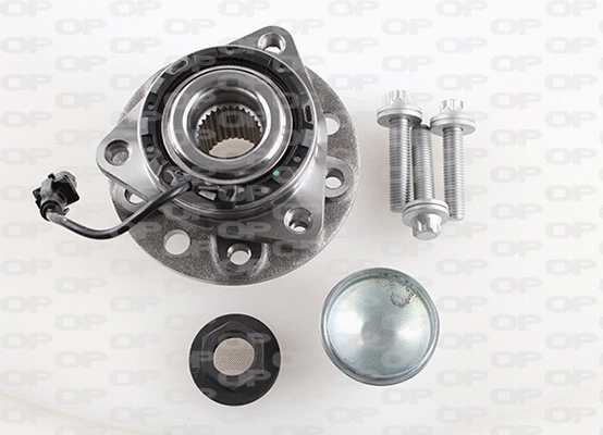 Kit de roulements de roue OPEN PARTS HBK5132.03