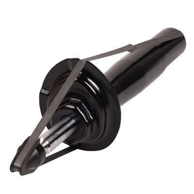 Amortisseur BAPMIC BACB12-573007