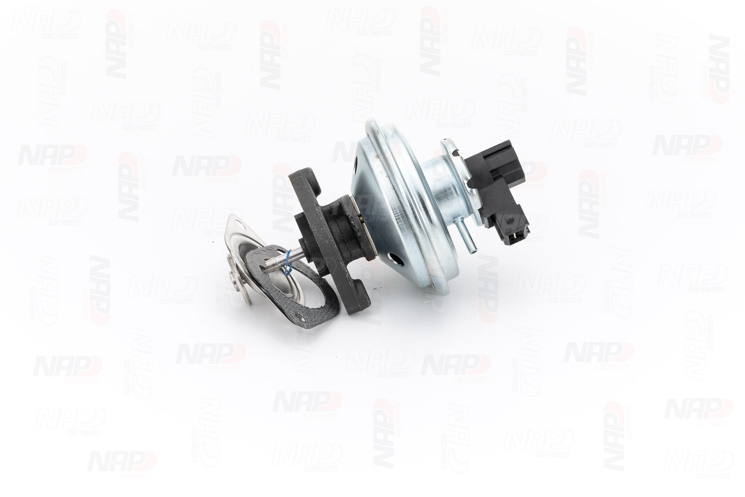 Vanne EGR NAP carPARTS GmbH CAV10059