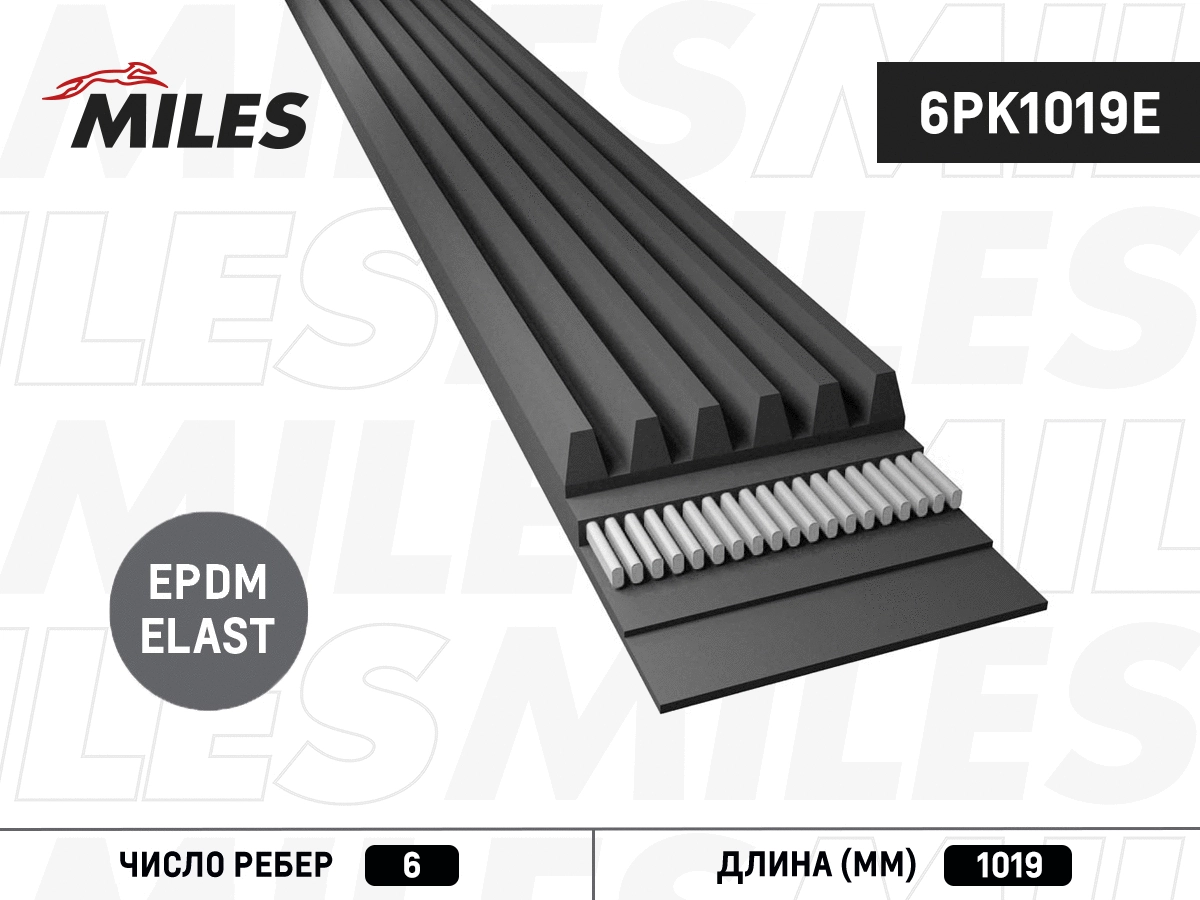 Courroie trapézoïdale à nervures MILES 6PK1019E