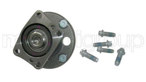 Kit de roulements de roue CIFAM 619-2366