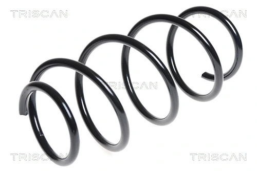 Ressort de suspension TRISCAN 8750 16089