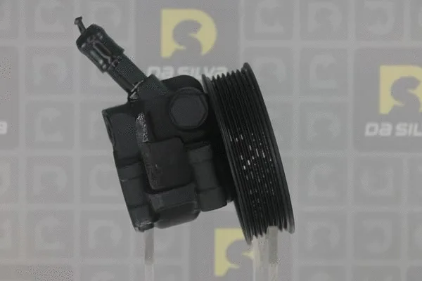 Pompe hydraulique, direction DA SILVA DP3291
