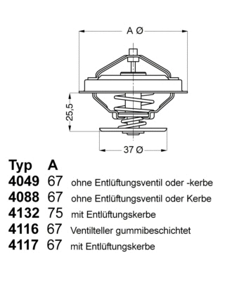 Thermostat, liquide de refroidissement BorgWarner (Wahler) 4116.87D1