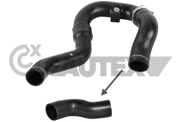 Gaine de suralimentation CAUTEX 753064