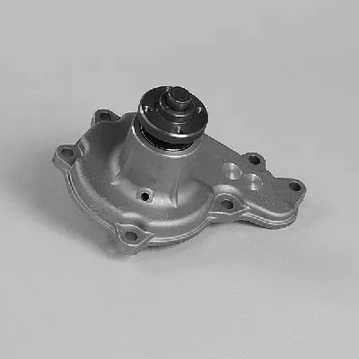 Pompe à eau, refroidissement du moteur GK 987127