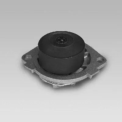 Pompe à eau, refroidissement du moteur GK 985241