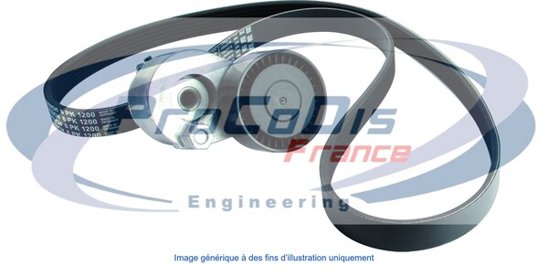 Jeu de courroies trapézoïdales à nervures PROCODIS FRANCE KGA5014
