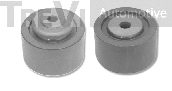 Poulie renvoi/transmission, courroie crantée TREVI AUTOMOTIVE TD1153