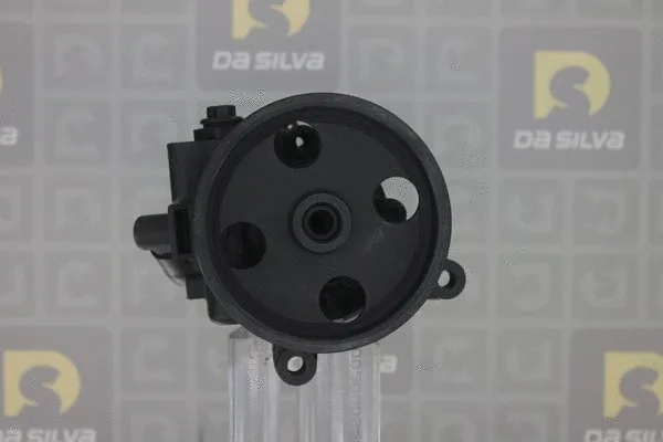 Pompe hydraulique, direction DA SILVA DP3475