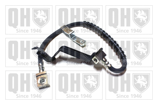 Flexible de frein QUINTON HAZELL BFH4981