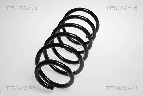 Ressort de suspension TRISCAN 8750 2776