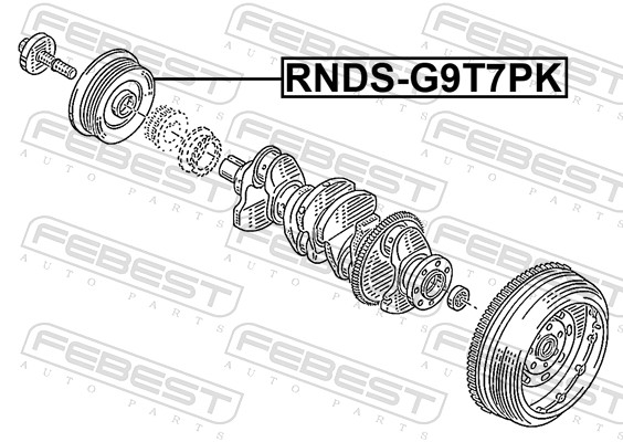 Poulie, vilebrequin FEBEST RNDS-G9T7PK