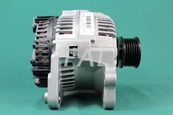 Alternateur FAL Anlasser- und Lichtmaschinenservice F002870/2