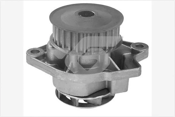 Pompe à eau, refroidissement du moteur HUTCHINSON WP0033V