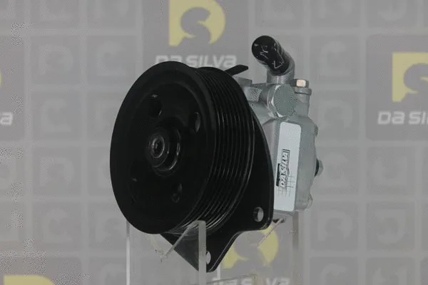 Pompe hydraulique, direction DA SILVA DP3415