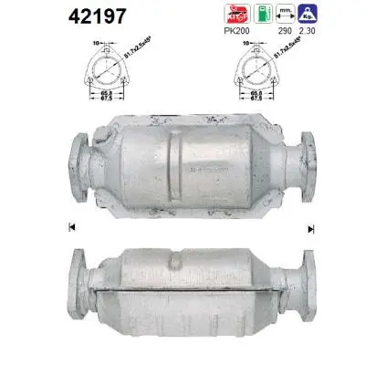 Catalyseur AS 42197