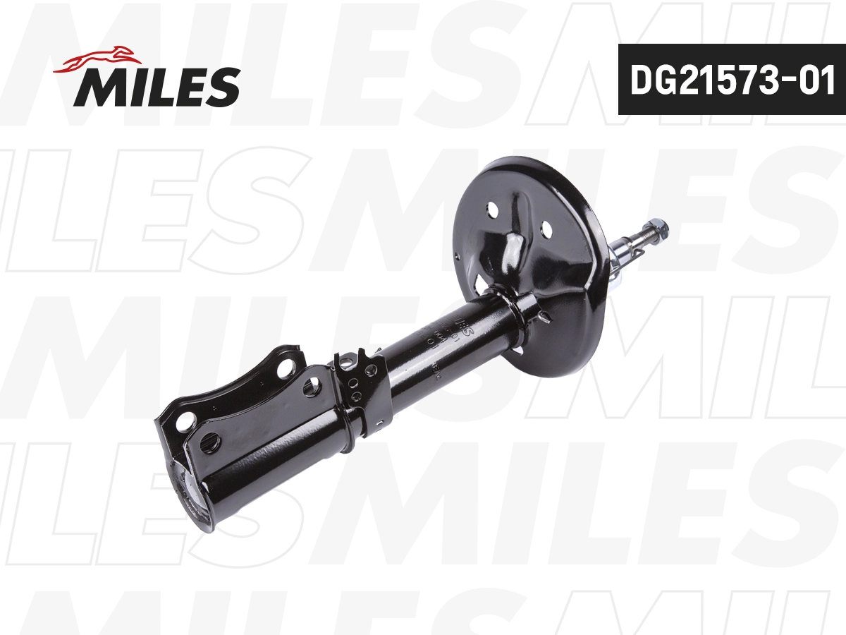 Amortisseur MILES DG21573-01