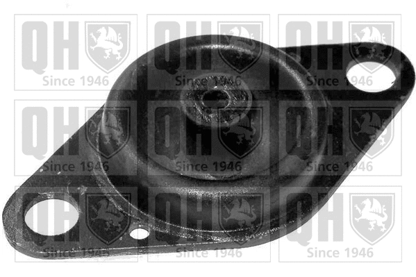 Support moteur QUINTON HAZELL EM3087