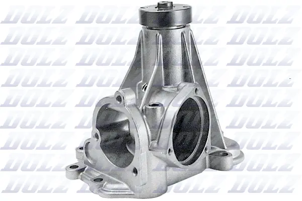 Pompe à eau, refroidissement du moteur DOLZ M196