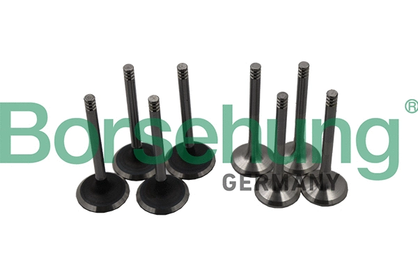Kit de soupapes, soupapes d’admission/d’échappement Borsehung B18640