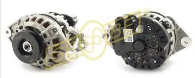Alternateur GEBE 6 8021 1