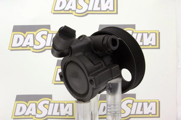 Pompe hydraulique, direction DA SILVA DP2979
