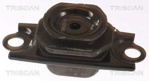 Support moteur TRISCAN 8505 25123