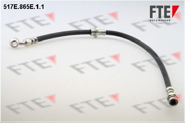 Flexible de frein FTE 9240737