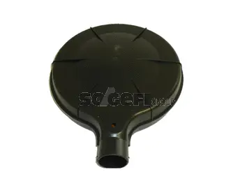 Filtre à air FRAM CA4561