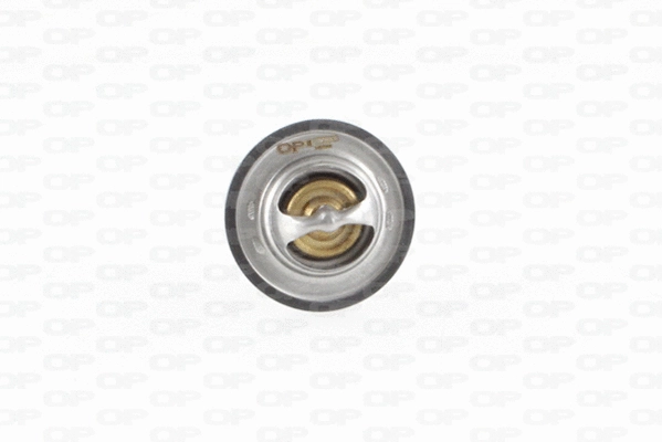 Thermostat, liquide de refroidissement OPEN PARTS TRM1010.00