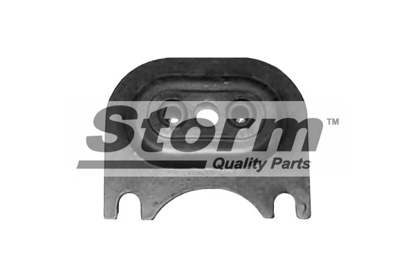 Suspension, boîte de vitesse manuelle STORM QUALITY PARTS F0403