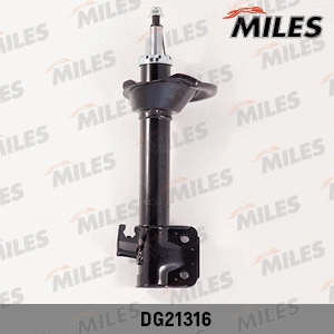 Amortisseur MILES DG21316