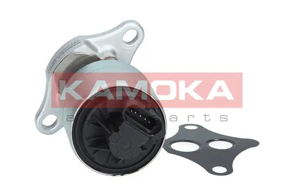 Vanne EGR KAMOKA 19001