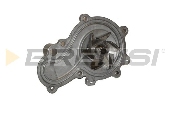 Pompe à eau, refroidissement du moteur BREMSI WP0108