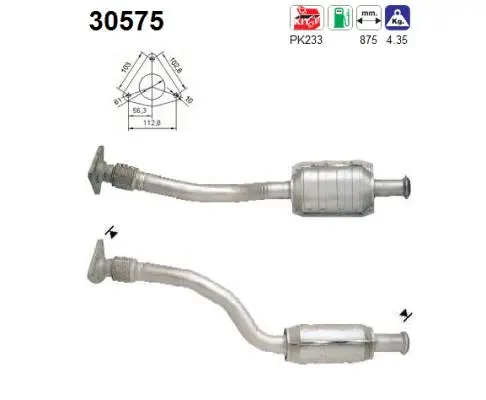 Catalyseur AS 30575