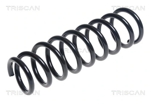 Ressort de suspension TRISCAN 8750 42113