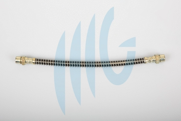 Flexible de frein RICAMBIFLEX GM 02510933