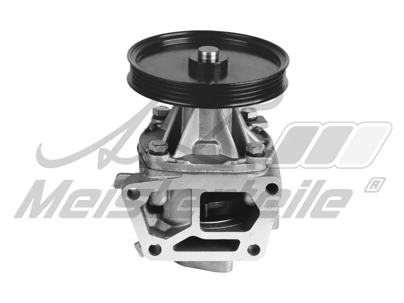 Pompe à eau, refroidissement du moteur A.Z. Meisterteile AZMT-30-100-1381