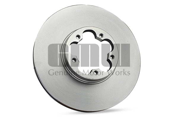 Disque de frein GMW BD311125AB