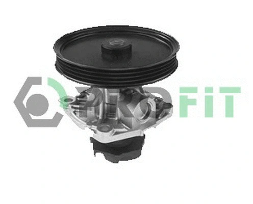 Pompe à eau, refroidissement du moteur PROFIT 1701-0598