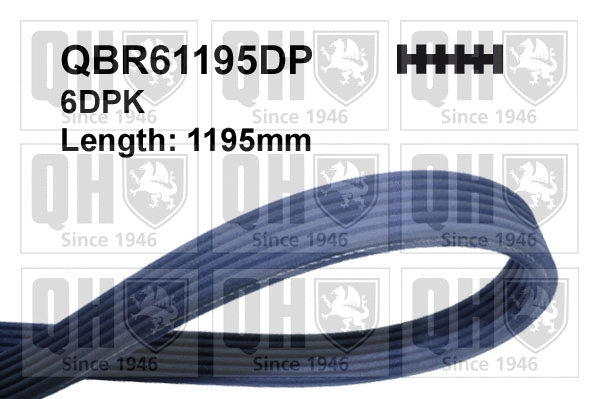 Courroie trapézoïdale à nervures QUINTON HAZELL QBR61195DP