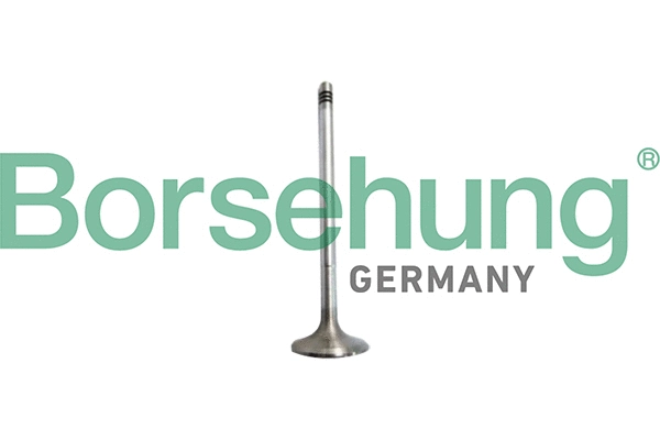 Soupape d'admission Borsehung B10327