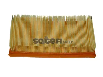 Filtre à air FRAM CA4263