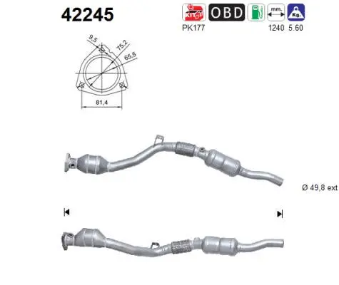 Catalyseur AS 42245