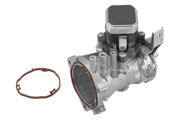 Module-EGR BorgWarner 7545D