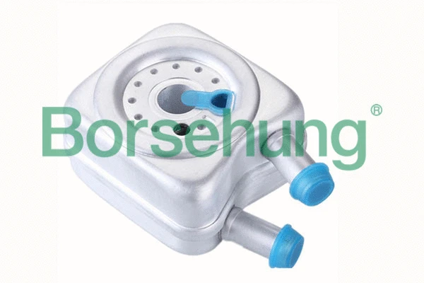 Radiateur d'huile Borsehung B14506