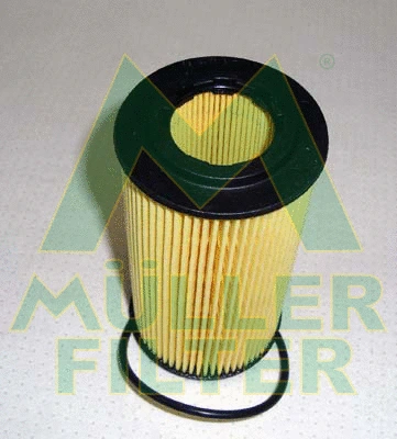 Filtre à huile MULLER FILTER FOP244